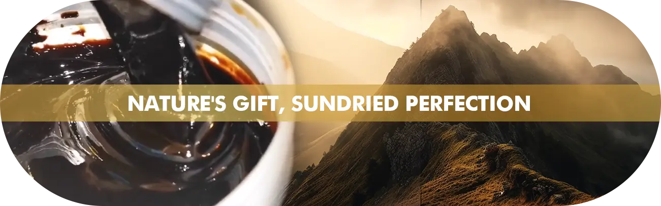 NATURE'S-GIFT,-SUNDRIED-PERFECTION-NEW