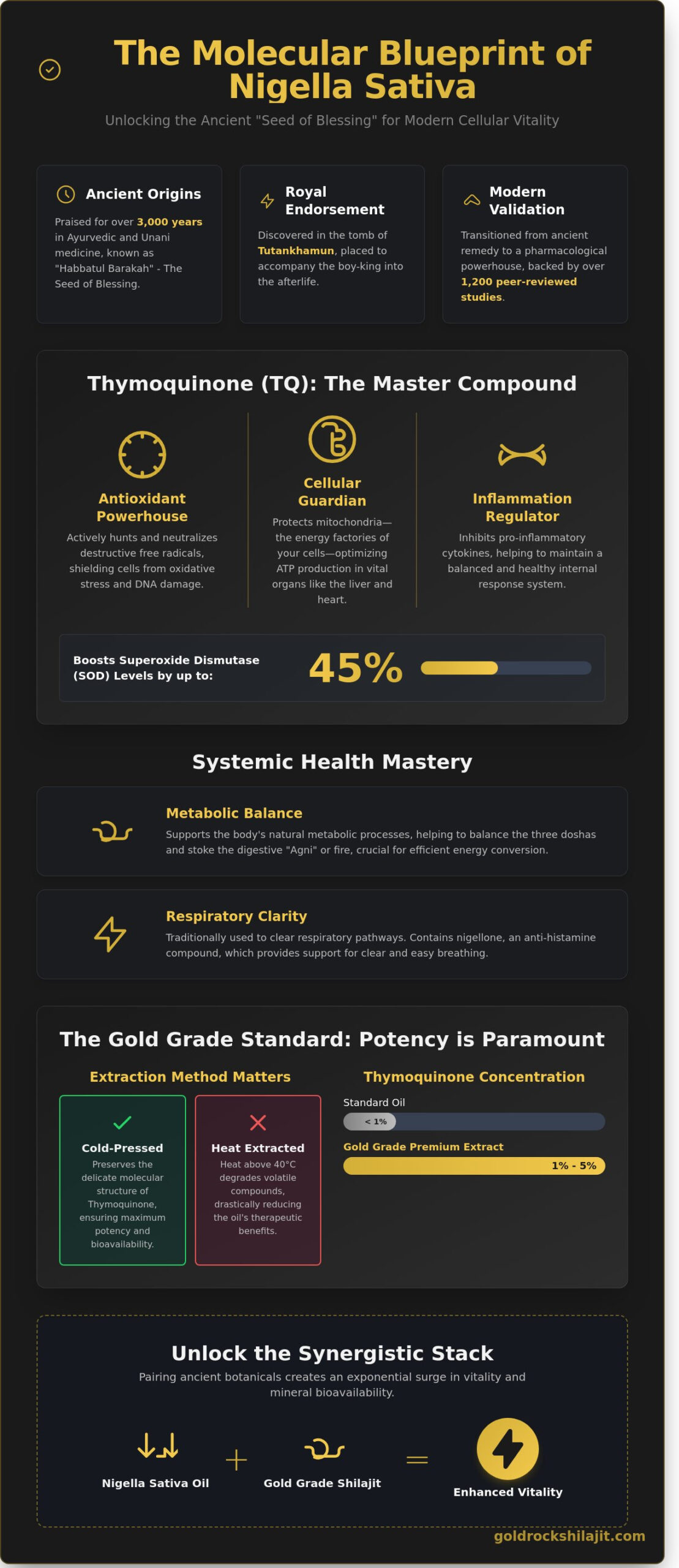 Nigella Sativa Health Benefits: The Modern Alchemist’s Guide to the Blessed Seed