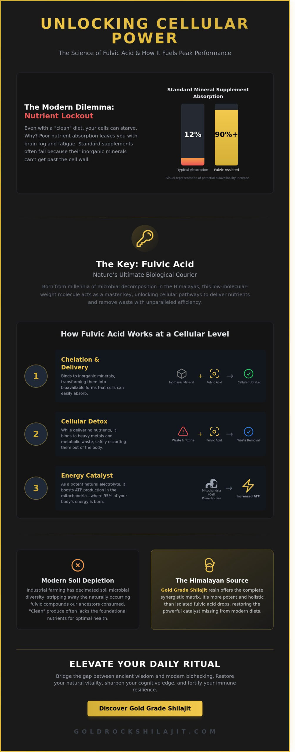 Fulvic Acid: The Modern Alchemist’s Guide to Nature’s Miracle Molecule