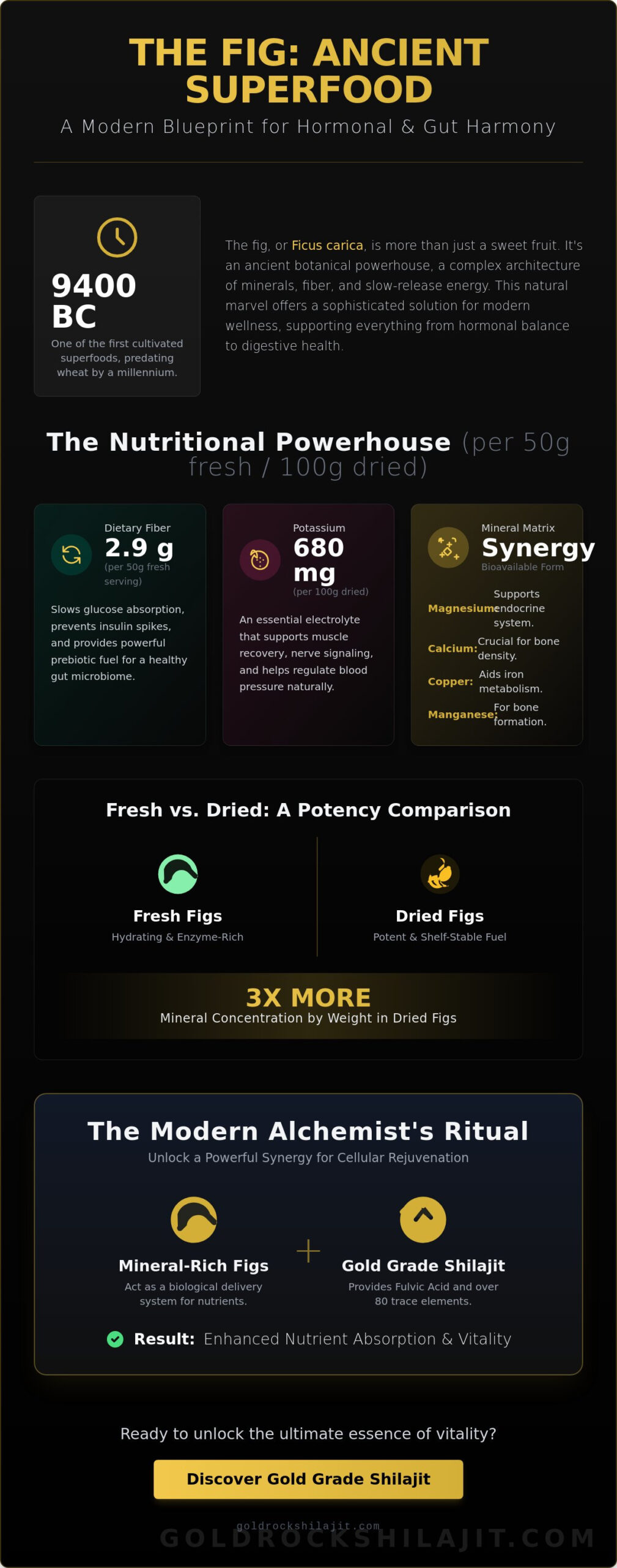 Figs: Nature’s Ancient Superfood for Vitality and Mineral Synergy