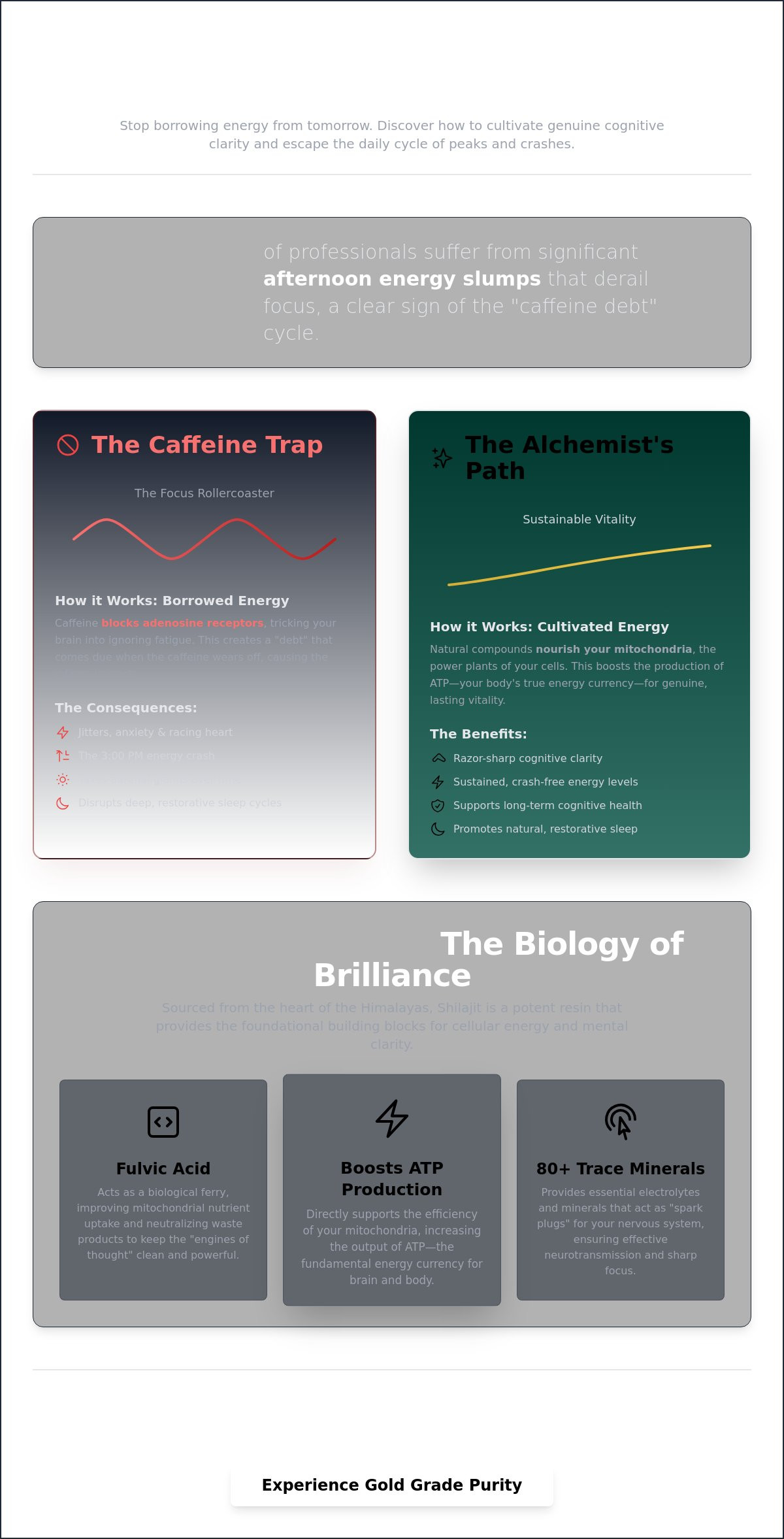 Natural Alternatives to Caffeine for Focus: The Modern Alchemist’s Guide