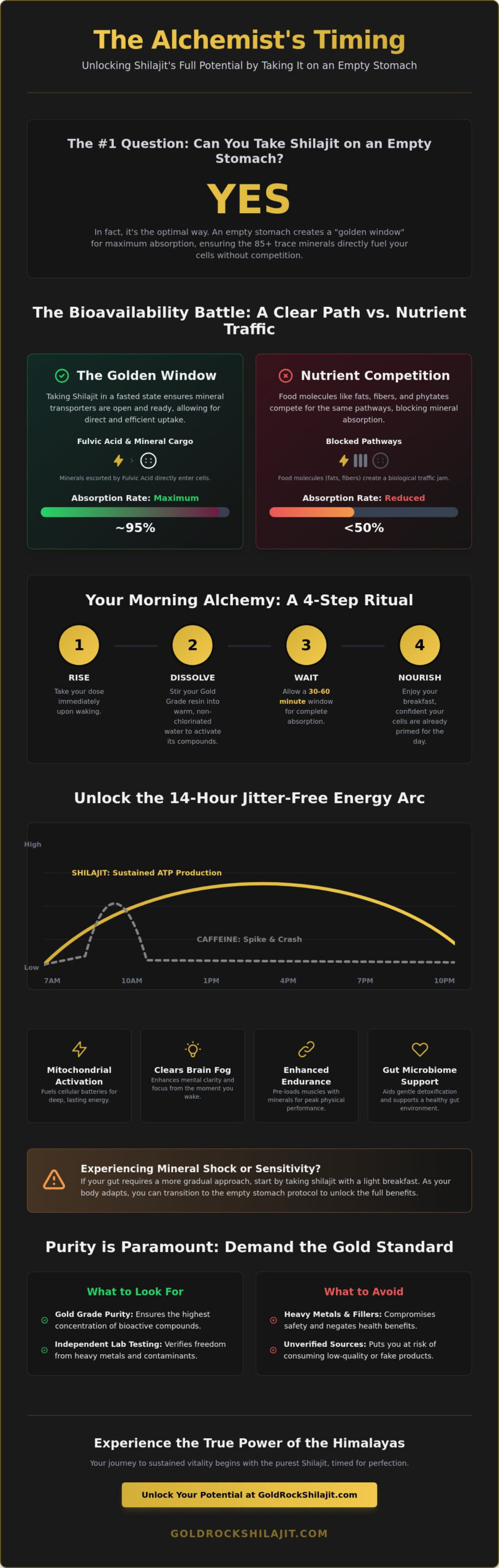 Can You Take Shilajit on an Empty Stomach? The Modern Alchemist’s Guide to Absorption