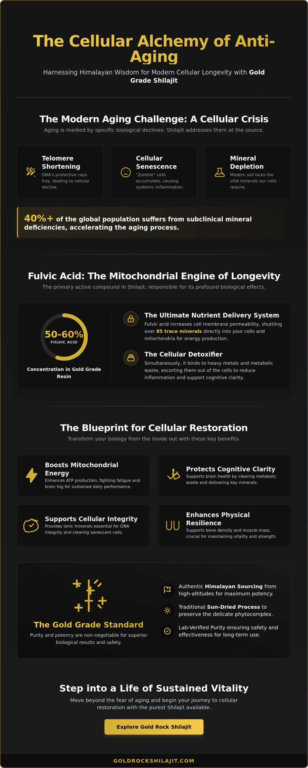 Shilajit for Anti-Aging Benefits: The Modern Alchemist’s Guide to Cellular Longevity